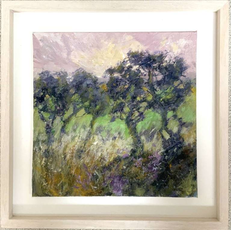 Amongst the Olive Groves - Sharon Reeves