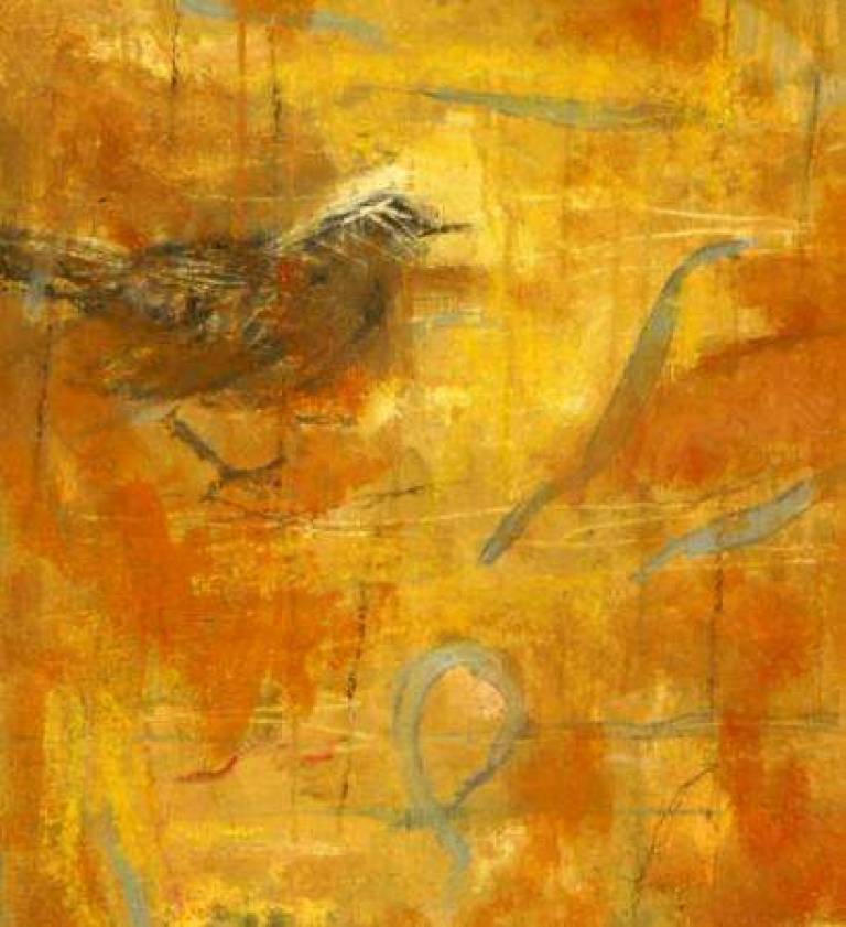 Blackbird - Janet Patterson