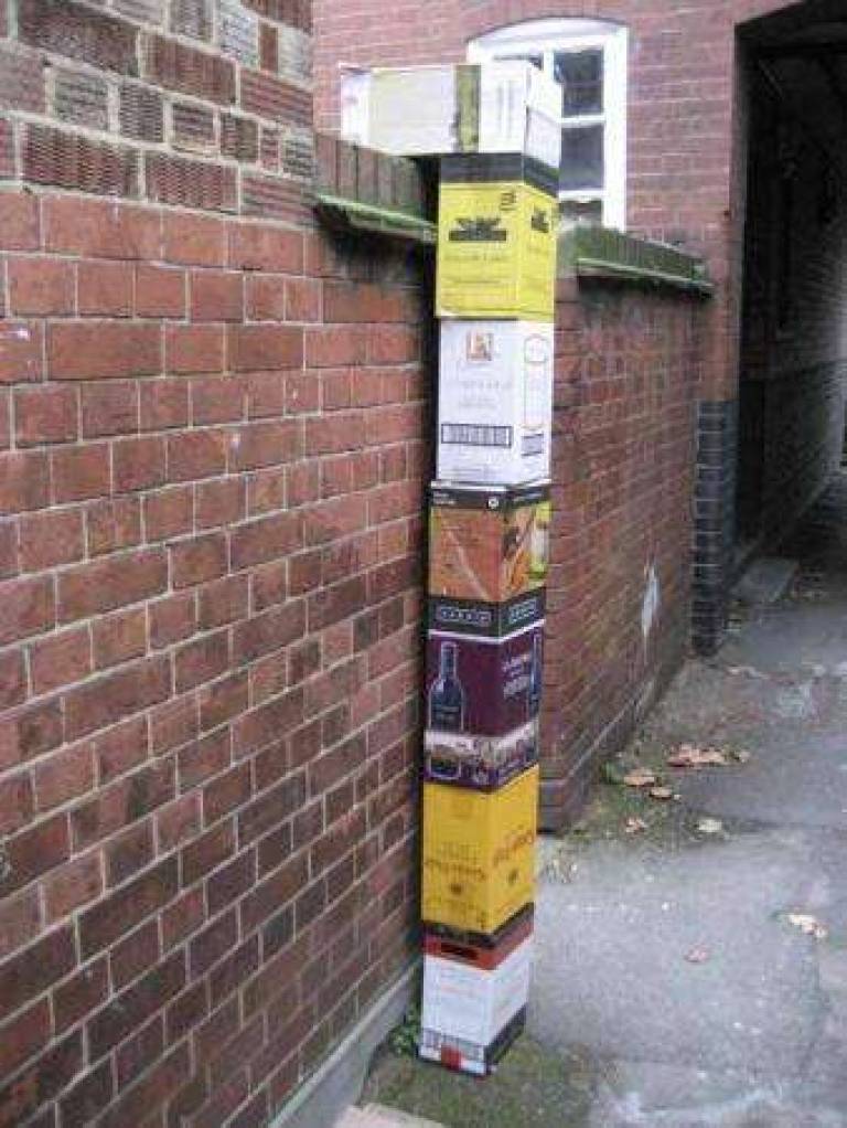 Curious - Janet Patterson