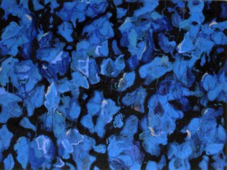 Midnight Flowers - Janet Patterson