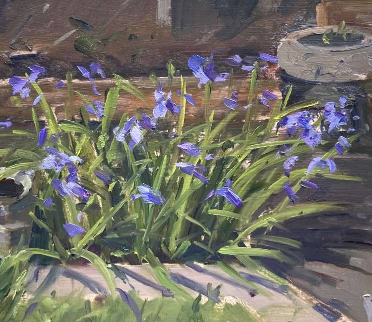 Irises, Hythe - Rod Major