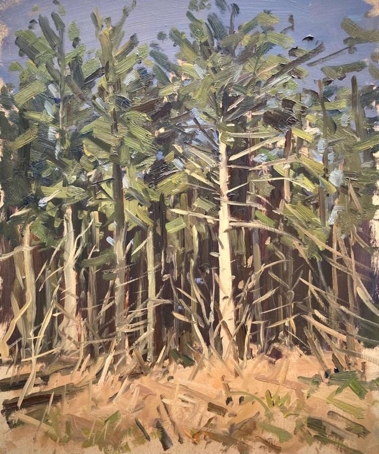 Lyminge Forest, Kent - (Sold) - Rod Major