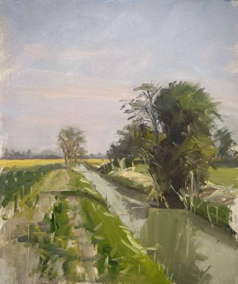 Romney Marsh, Kent (4) - Rod Major