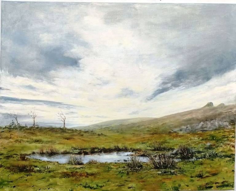 Wet Winter, Haytor - Totnes Art Society