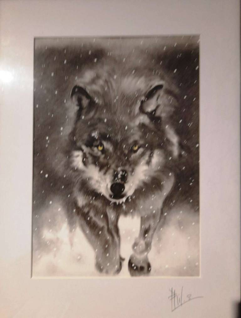 Snow Wolf - Totnes Art Society