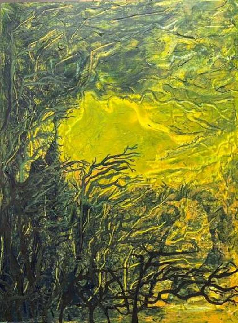 Bird Hole - Wendy Rylance