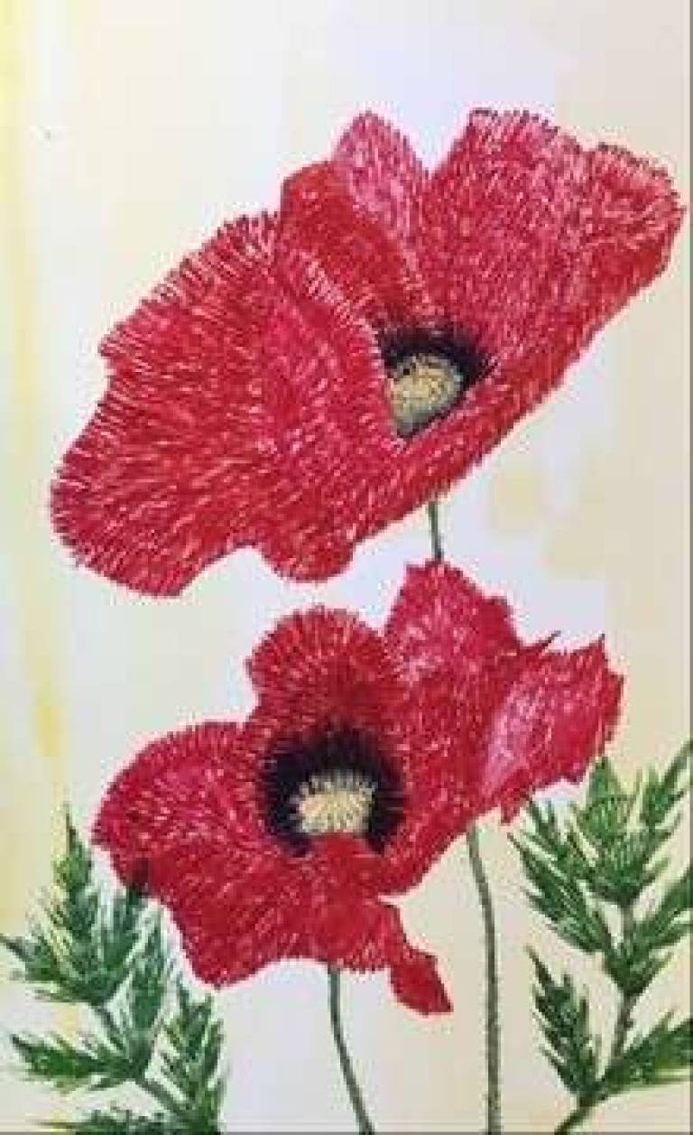 Watercolour - 