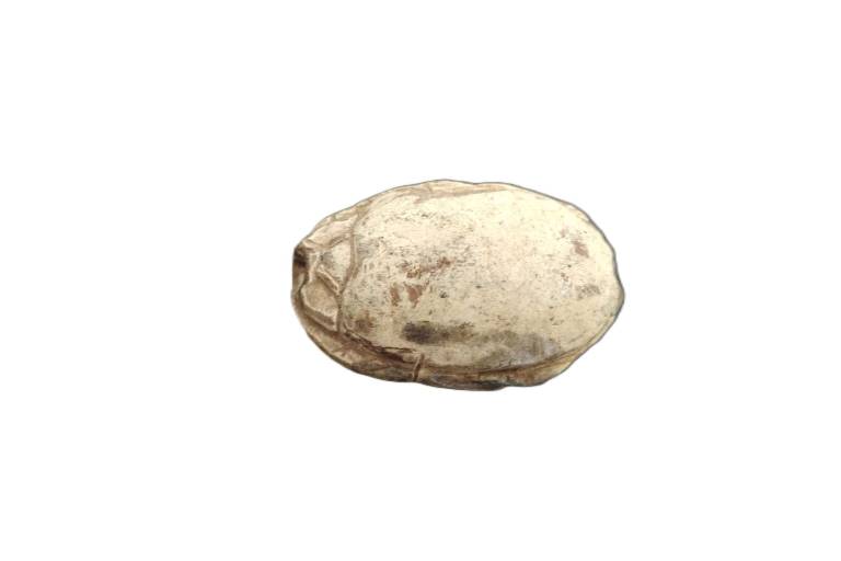 Large Ancient Egyptian Steatite  Scarab showing the God Bes with Uraeus - Egyptian Antiquities