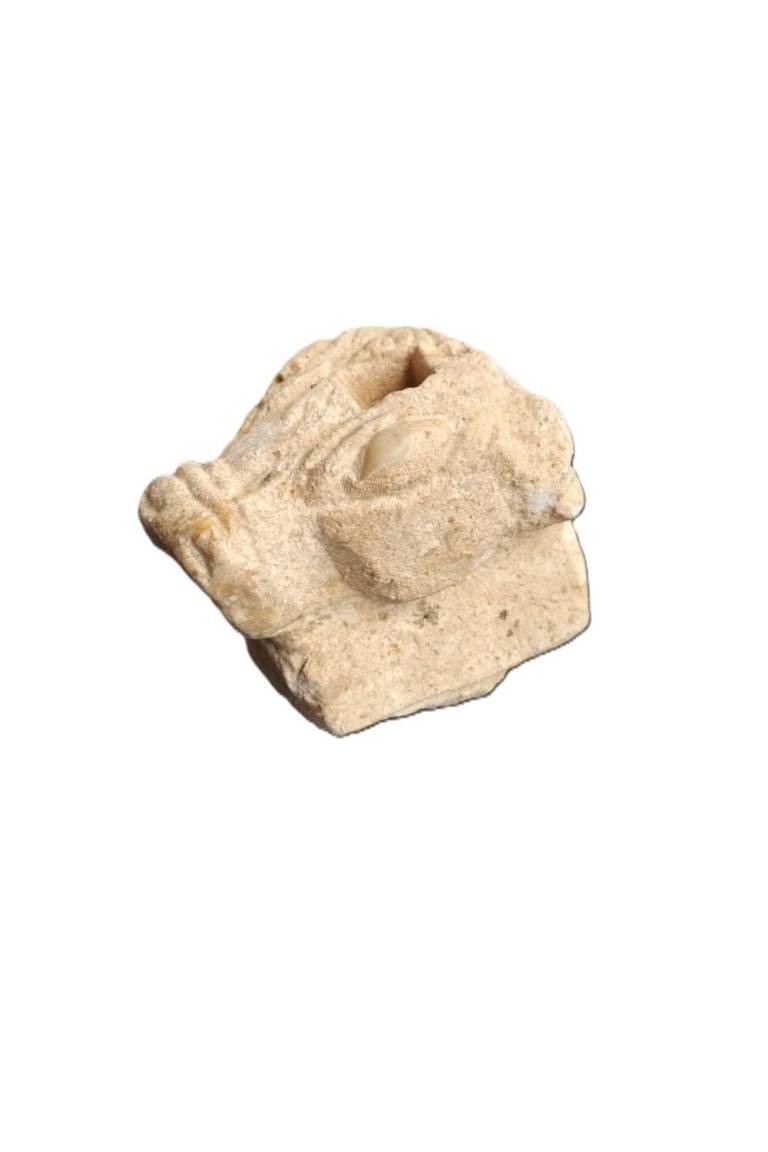 South Arabian Sabaean Bull Protome - Egyptian Antiquities