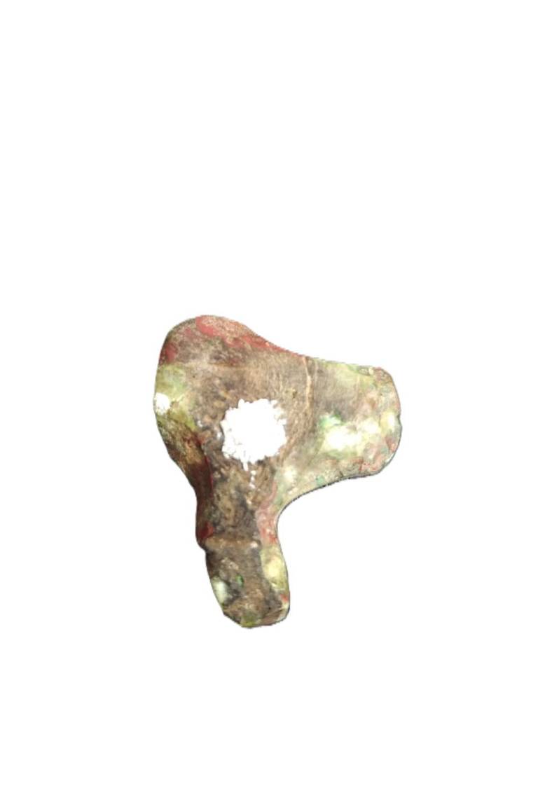Head of Thoth fragment - Egyptian Antiquities