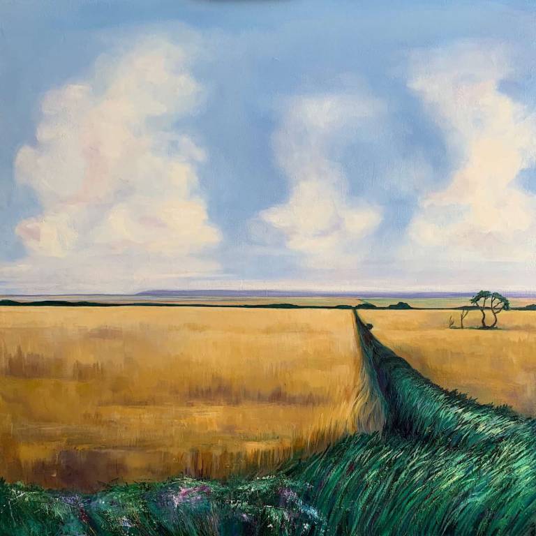 Boundless Summer - Dawn  Rodger