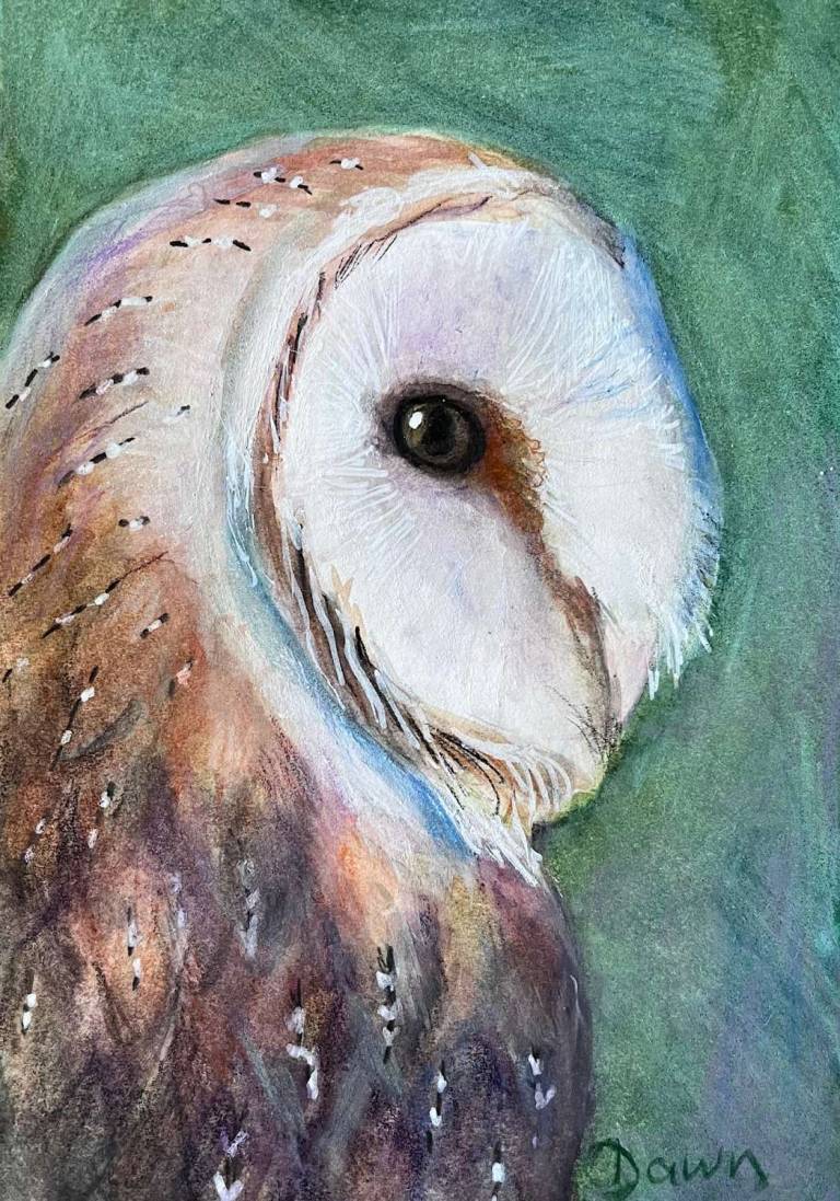 Gentle Wisdom - Dawn  Rodger