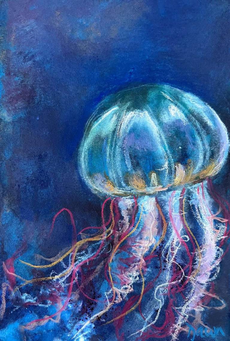 Jellyfish - Dawn  Rodger