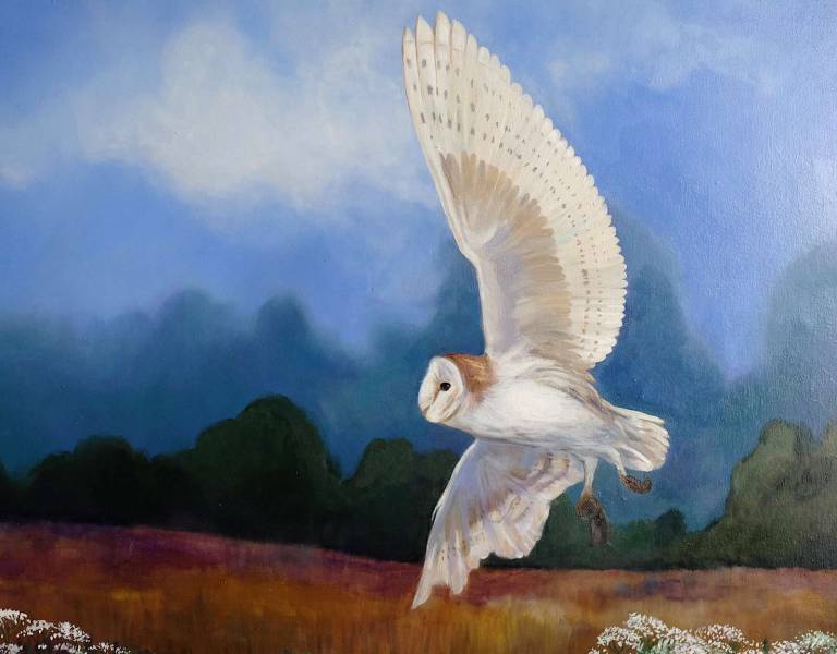 In the Company of Silence - Dawn  Rodger