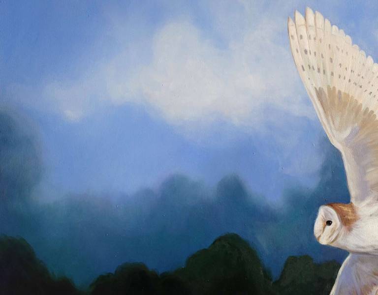 In the Company of Silence - Dawn  Rodger