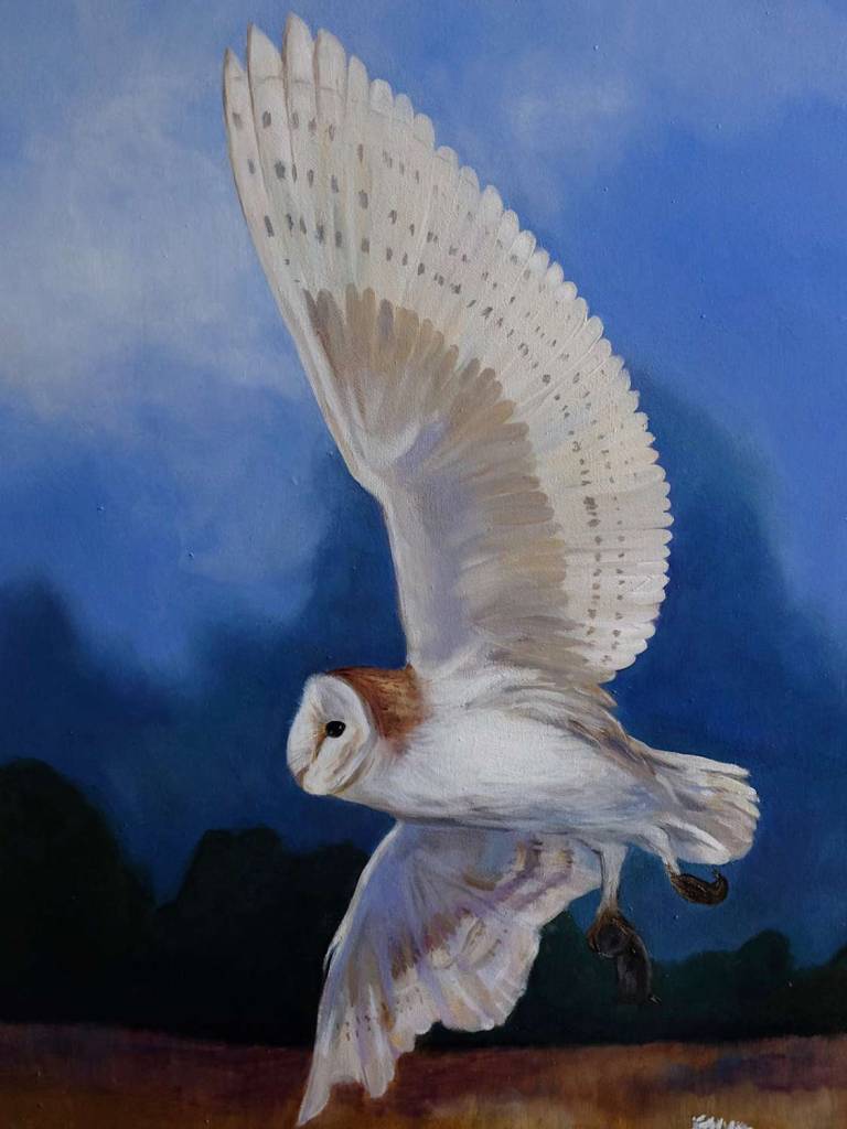 In the Company of Silence - Dawn  Rodger