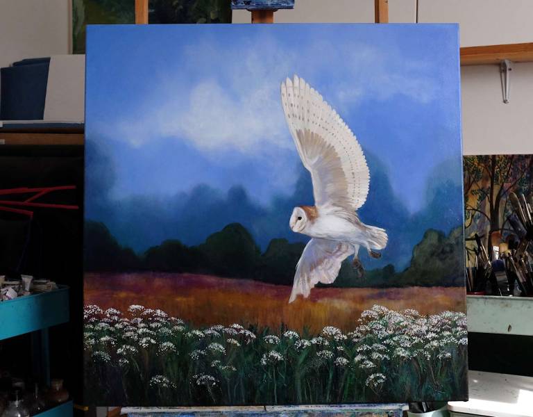 In the Company of Silence - Dawn  Rodger