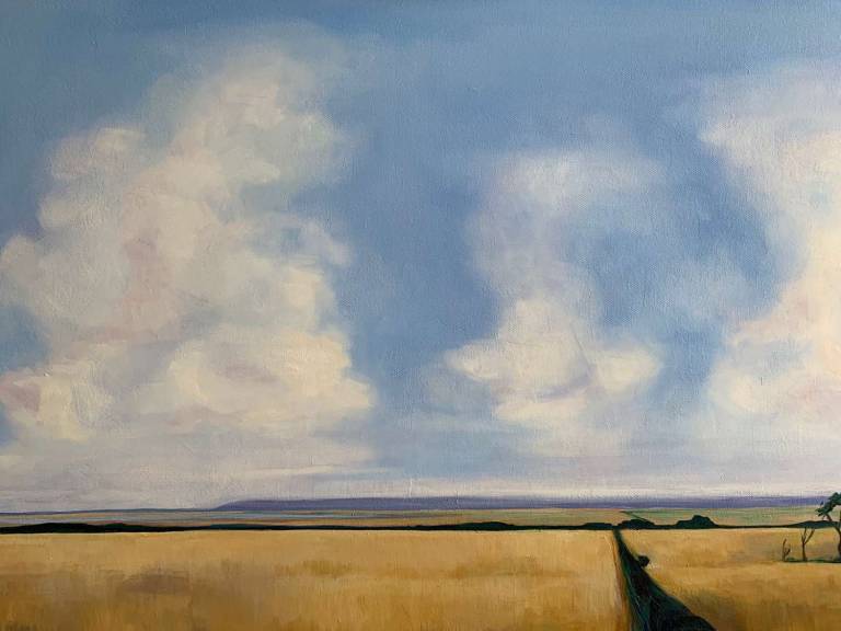 Boundless Summer - Dawn  Rodger