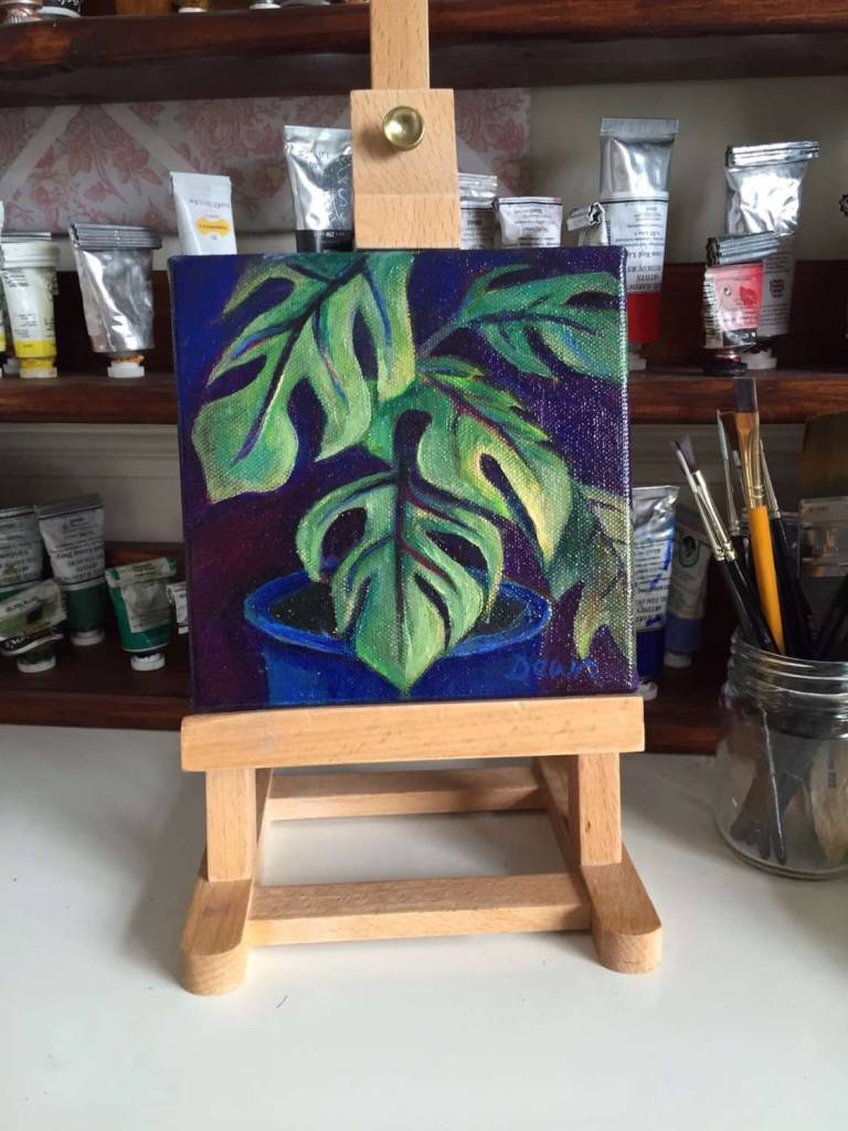 Cheeseplant - Dawn  Rodger