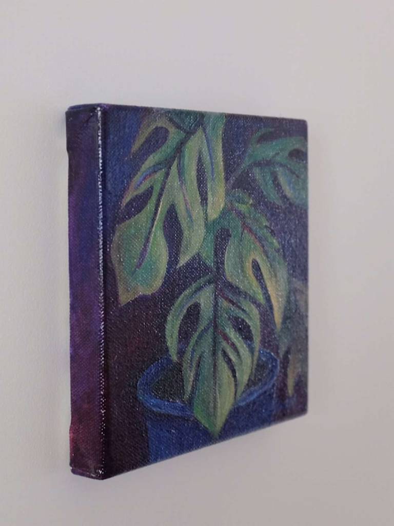 Cheeseplant - Dawn  Rodger