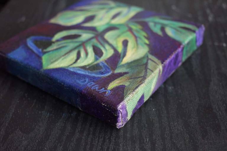 Cheeseplant - Dawn  Rodger