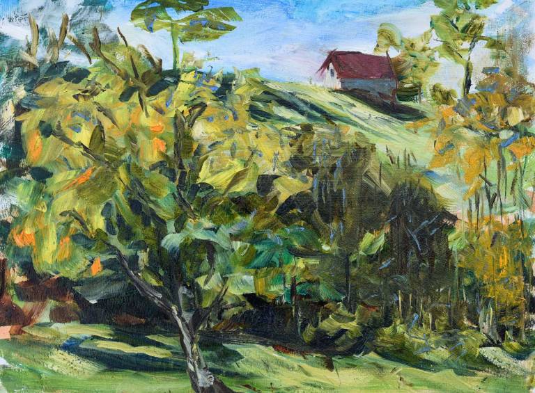 Cabin On The Hill - Ronell van Wyk