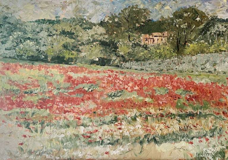 Poppy field in Goult - Ronell van Wyk
