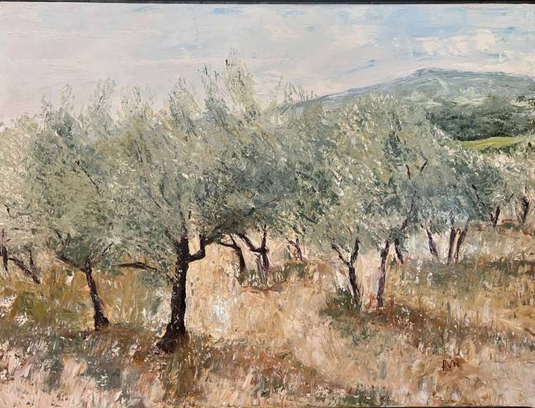 Olive grove in Rustrel 2 - Ronell van Wyk