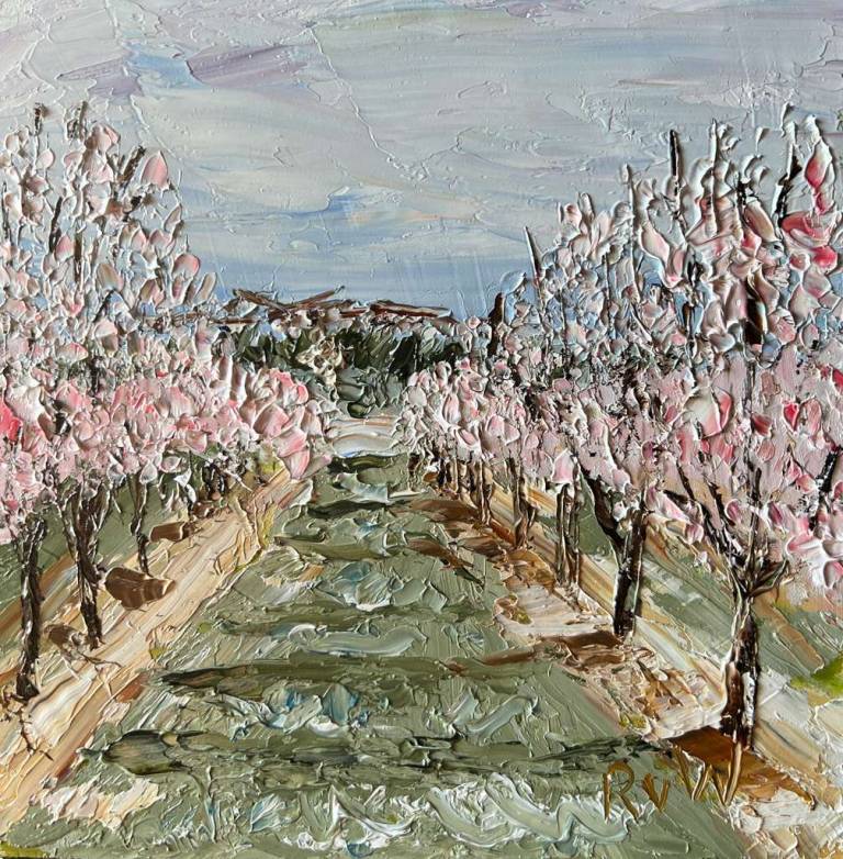 Almond trees in Villars - Ronell van Wyk