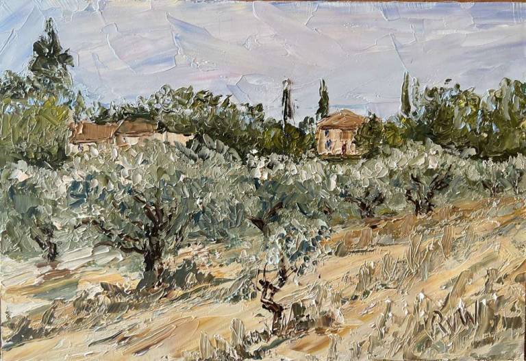 Olive grove and two houses - Ronell van Wyk