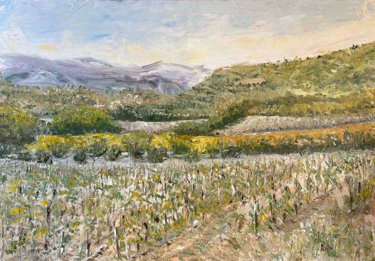 Young vinyeard - Ronell van Wyk