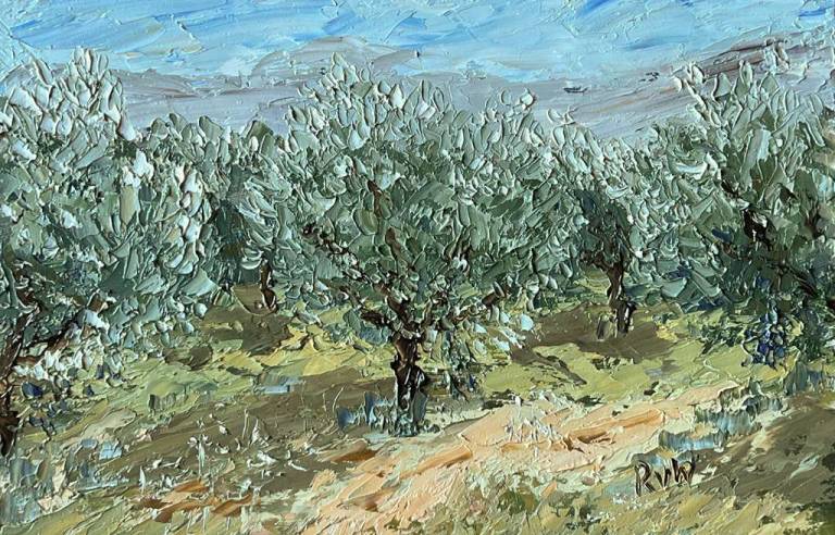Olive grove in Aix - Ronell van Wyk