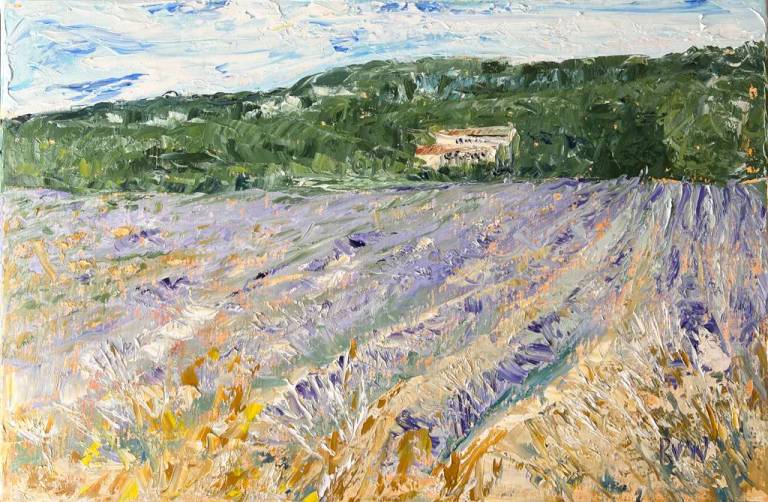 Lavender field in Saignon - Ronell van Wyk