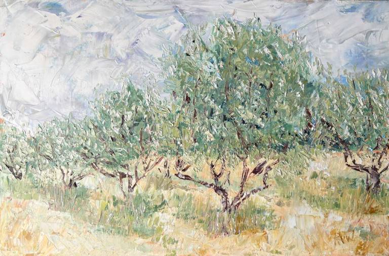 Olive grove in Rustrel - Ronell van Wyk