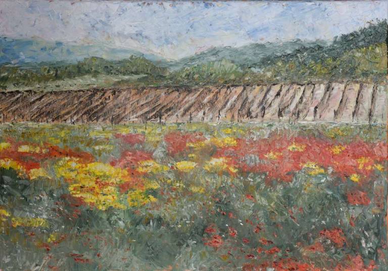 Poppies and winter vineyard - Ronell van Wyk