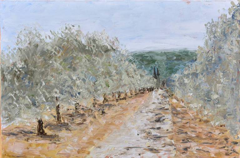 Olive grove 19 - Ronell van Wyk
