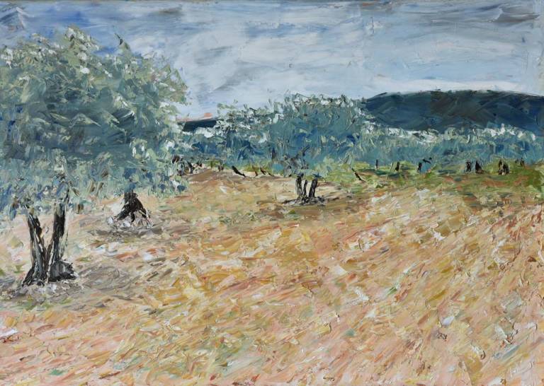 Olive grove in St Saturnin les APt - Ronell van Wyk