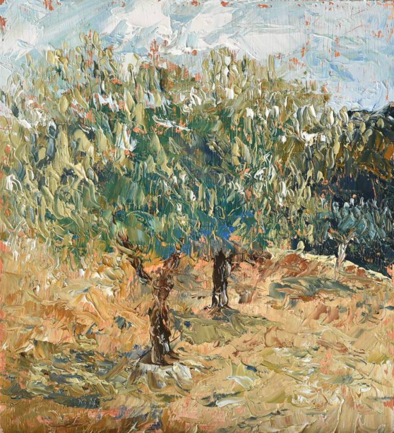 Olive tree study 1 - Ronell van Wyk
