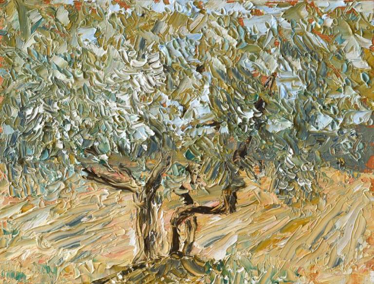 Olive tree study 2 - Ronell van Wyk