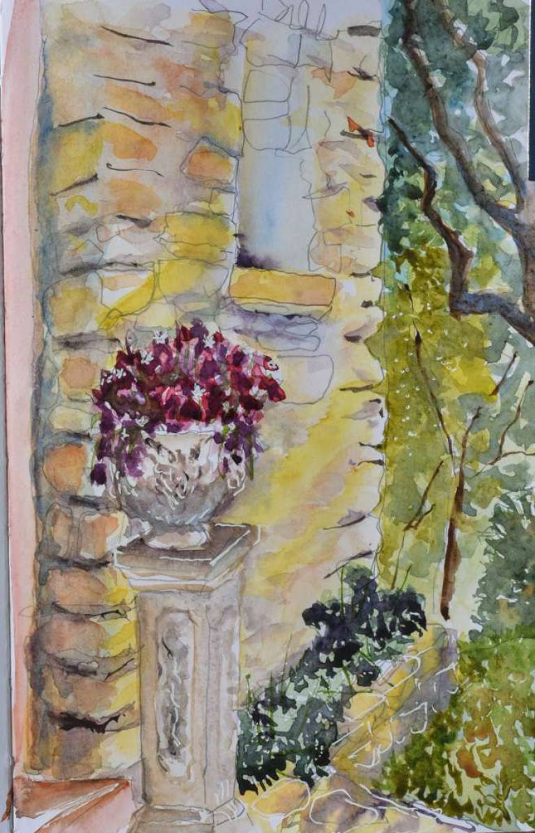 Oxalis - Ronell van Wyk