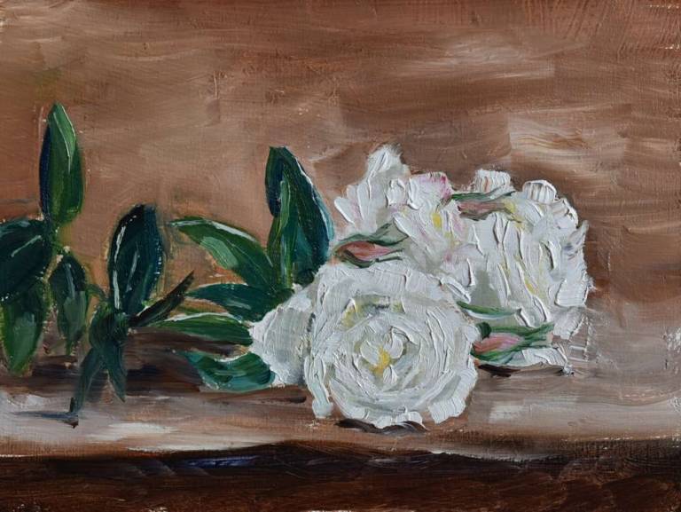 White iceberg roses - Ronell van Wyk