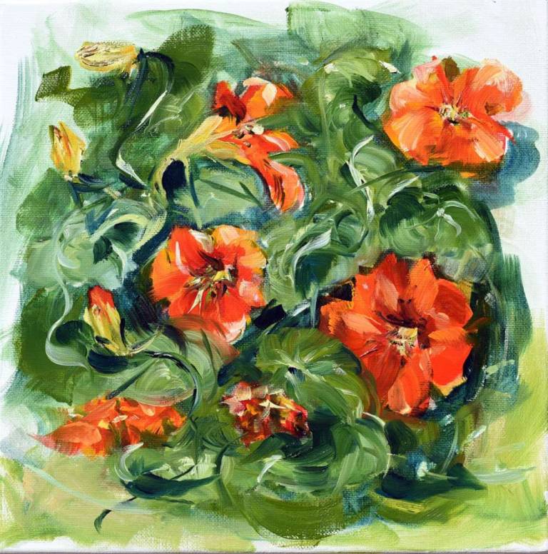 Nasturtium 1 - Ronell van Wyk