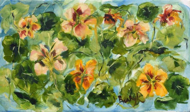 nasturtium 2 - Ronell van Wyk