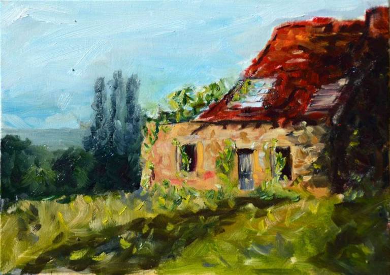 ruins with red roof - Ronell van Wyk