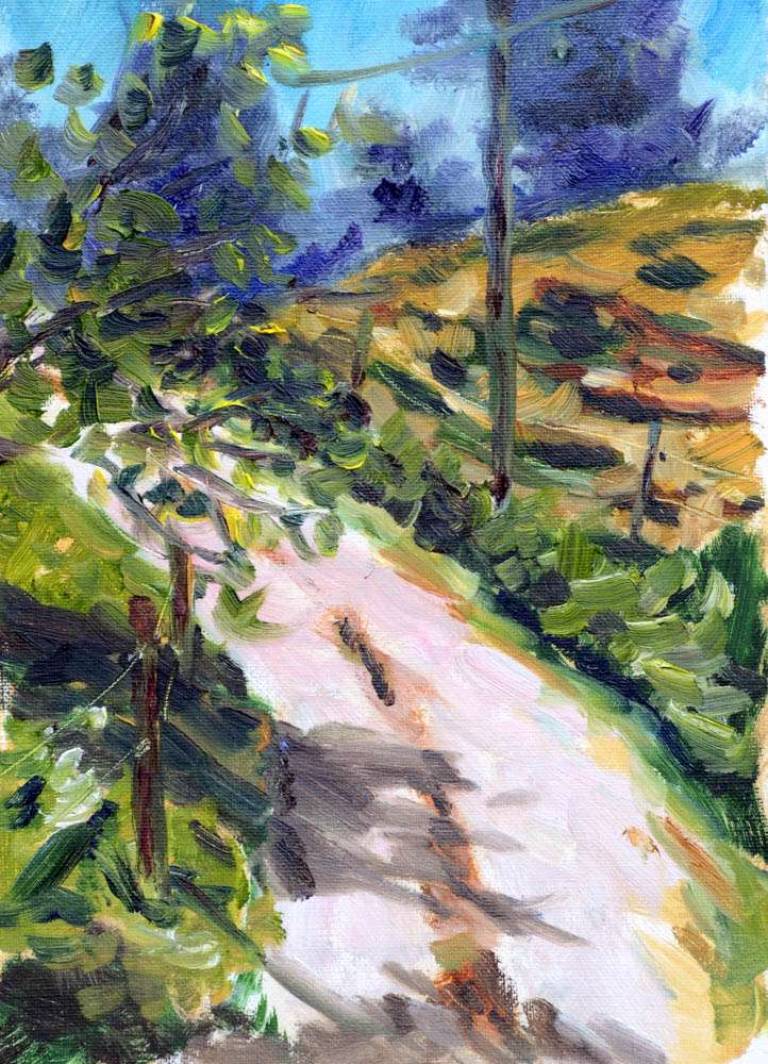 On the path - Ronell van Wyk