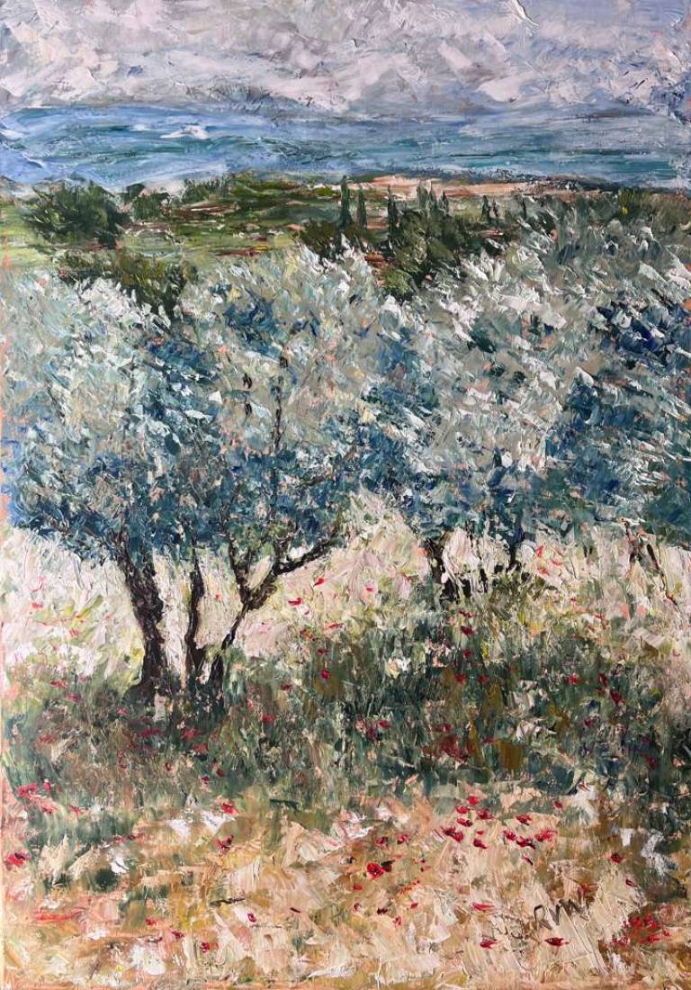 Poppies in olive grove - Ronell van Wyk