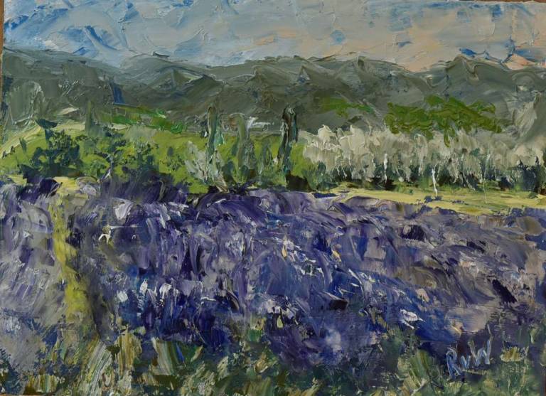 Lavenderfield and mountains - Ronell van Wyk
