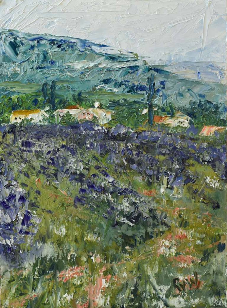 Lavender field and houses - Ronell van Wyk