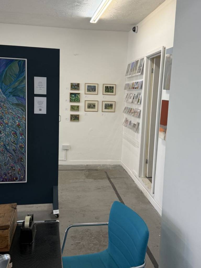 Local Exhibitions - 