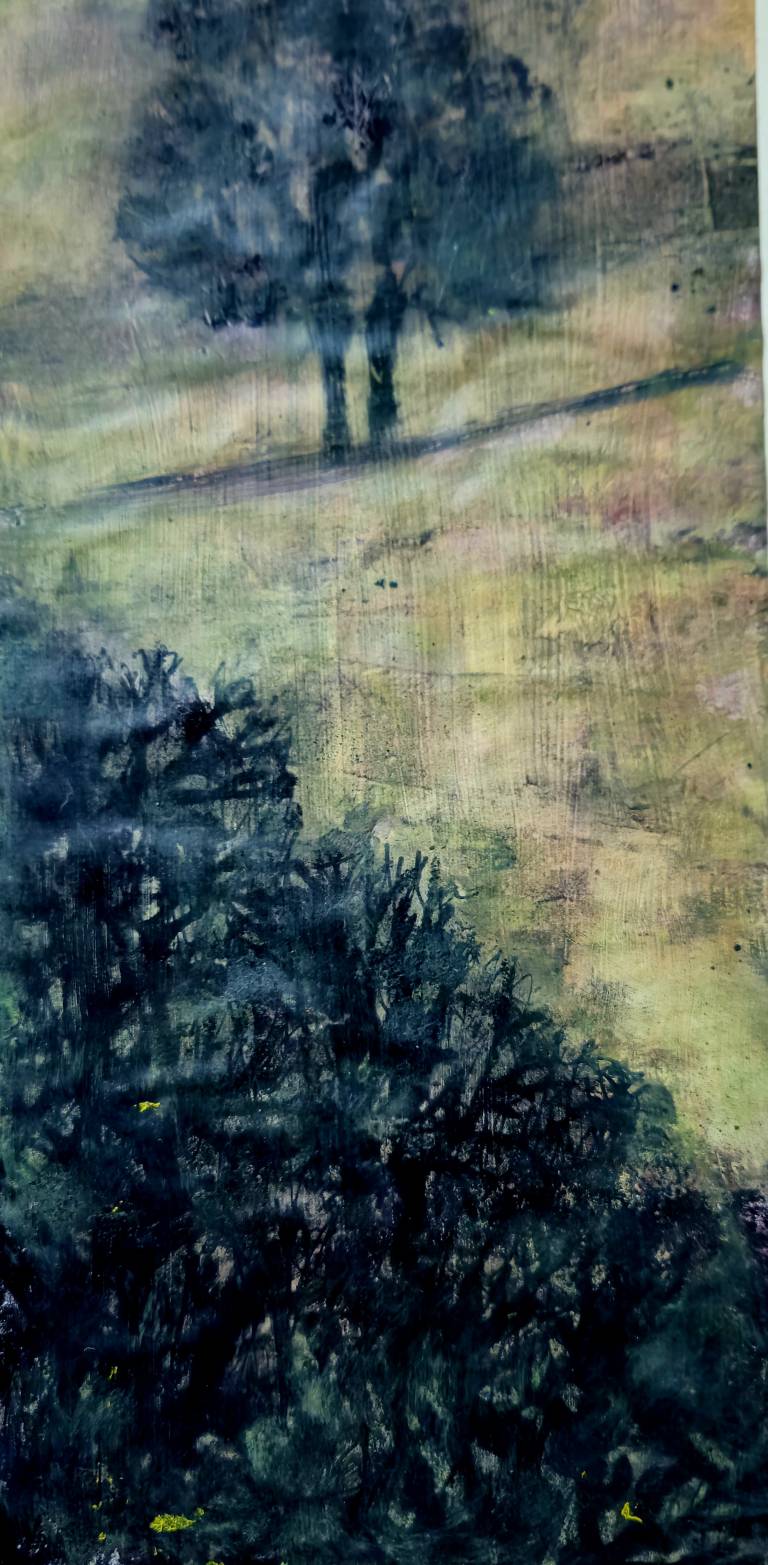 Woodland3 - Stephen D A Morris